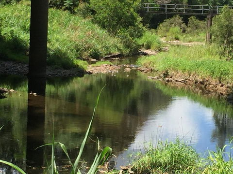 Yandina Caravan Park - Accommodation Gladstone 2