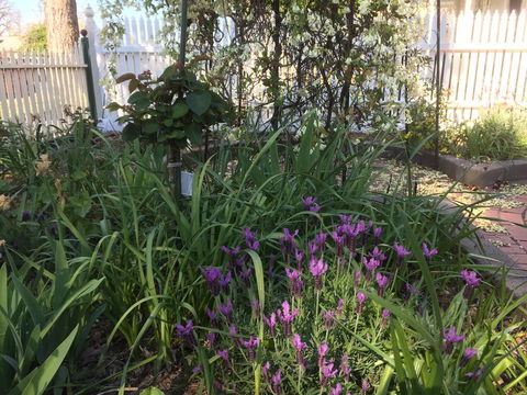 Yapera On Lucan - Accommodation Gladstone 2