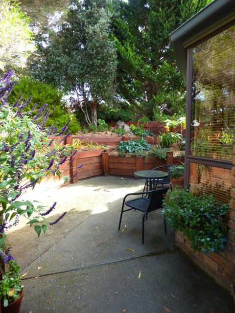 A Suite Spot In The Hills - Accommodation Gladstone 4