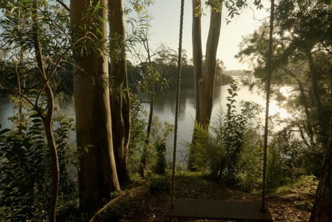 A Tamed Wilderness - Accommodation Gladstone 3