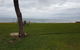 Absolute Beachfront 2BR Pet-Friendly Terrace - The Coachhouse - thumb 4