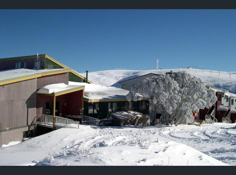 Alpine Cabin- Spa/Pool/Sauna - Accommodation Gladstone 3