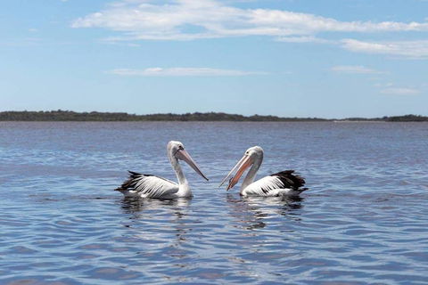 Amazing Ansons Bay Remote Paradise For The Family In The Bay Of Fires Area - Accommodation Gladstone 2