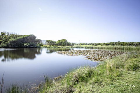 Apollo Bay Cottages- Sabine - Accommodation Gladstone 3