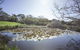 Apollo Bay Cottages- Sabine - thumb 4