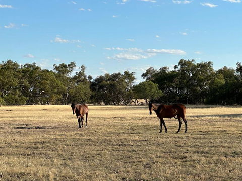Banyena Homestead By Tiny Away - Accommodation Gladstone 2