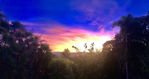 Daintree Manor B&B - Accommodation Gladstone 3
