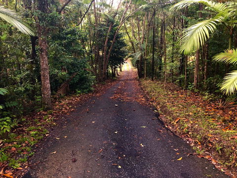 Daintree Manor B&B - Accommodation Gladstone 12
