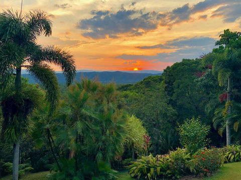 Daintree Manor B&B - Accommodation Gladstone 13