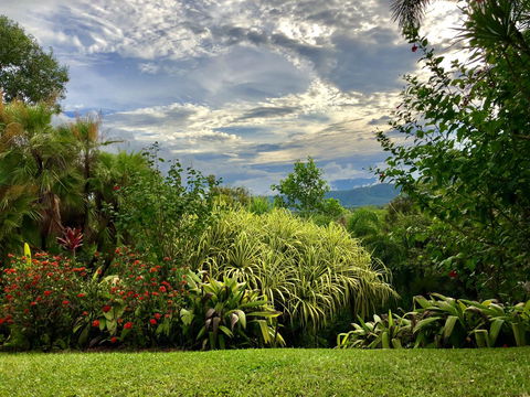 Daintree Manor B&B - Accommodation Gladstone 2
