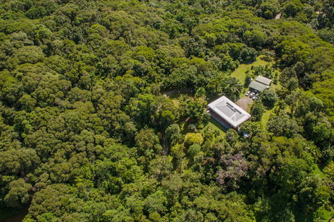 Daintree Manor B&B - Accommodation Gladstone 14