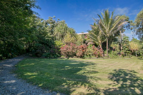 Daintree Manor B&B - Accommodation Gladstone 19