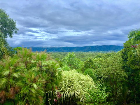 Daintree Manor B&B - Accommodation Gladstone 0