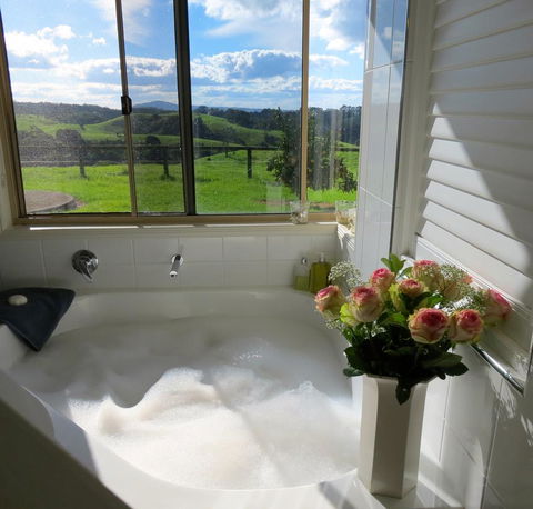 Maleny Springs Farm - Accommodation Gladstone 4