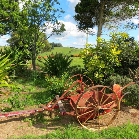 Maleny Springs Farm - Accommodation Gladstone 37