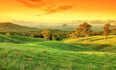 Maleny Springs Farm - Accommodation Gladstone 20