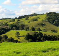 Maleny Springs Farm - Accommodation Gladstone