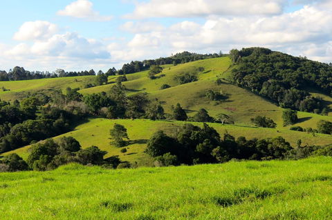 Maleny Springs Farm - Accommodation Gladstone 0