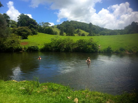 Maleny Springs Farm - Accommodation Gladstone 28