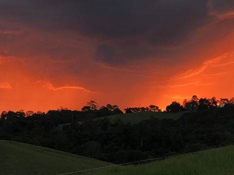 Maleny Springs Farm - Accommodation Gladstone 6