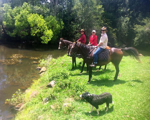 Maleny Springs Farm - Accommodation Gladstone 33
