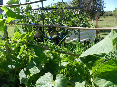 Hay Point Country BnB - Accommodation Gladstone 17