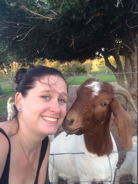 Hay Point Country BnB - Accommodation Gladstone 13