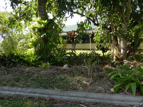 Hay Point Country BnB - Accommodation Gladstone 23