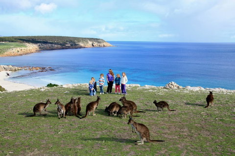 Waves & Wildlife Cottages Kangaroo Island - Accommodation Gladstone 1