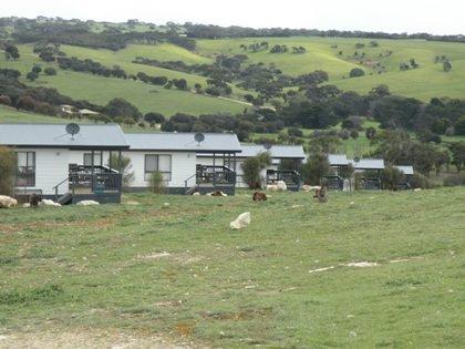 Waves & Wildlife Cottages Kangaroo Island - Accommodation Gladstone 13