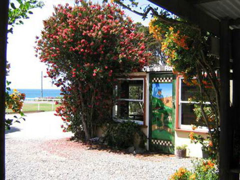 King Island Accommodation Cottages - Accommodation Gladstone 11