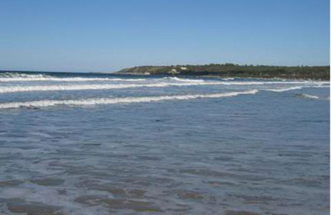 King Island Accommodation Cottages - Accommodation Gladstone 18