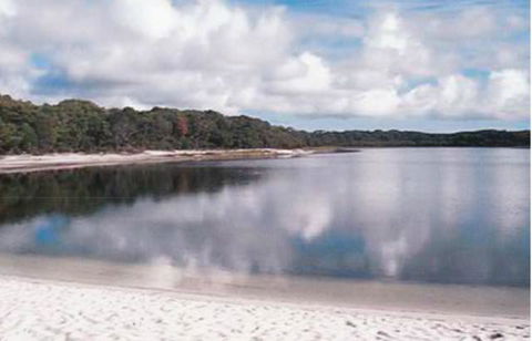 King Island Accommodation Cottages - Accommodation Gladstone 17
