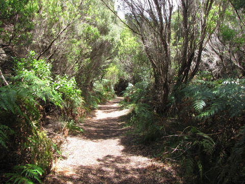 King Island Accommodation Cottages - Accommodation Gladstone 12