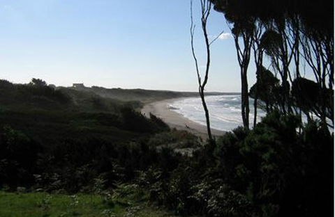 King Island Accommodation Cottages - Accommodation Gladstone 19