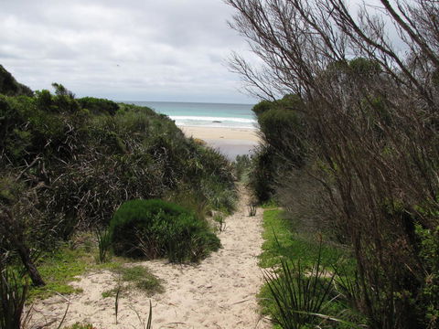 King Island Accommodation Cottages - Accommodation Gladstone 41