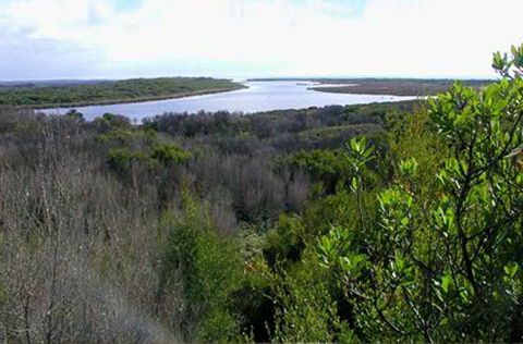 King Island Accommodation Cottages - Accommodation Gladstone 20