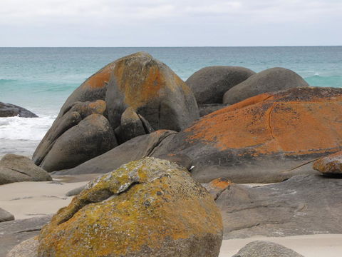 King Island Accommodation Cottages - Accommodation Gladstone 40