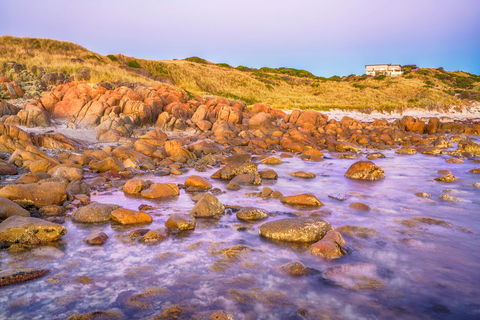 Porky Beach Retreat - King Island Escapes - Accommodation Gladstone 9