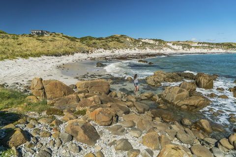 Porky Beach Retreat - King Island Escapes - Accommodation Gladstone 13