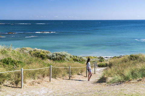 Porky Beach Retreat - King Island Escapes - Accommodation Gladstone 14