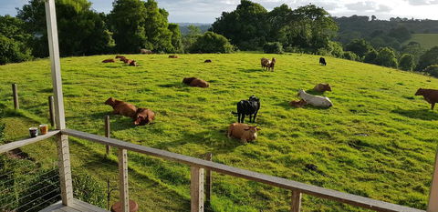 Seasons Of Maleny B&B - Accommodation Gladstone 1