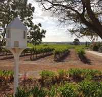 'In The Vines' Guest Cottage Barossa Valley - Accommodation Gladstone