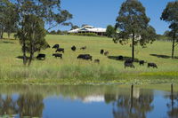 Book Nabiac Accommodation Vacations Accommodation Gladstone Accommodation Gladstone
