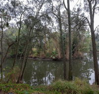 1 Private Single Room in Carramar 1-minute walk to Station - SHAREHOUSE - Accommodation Gladstone