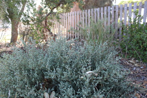 12 Apostles Cottages - Accommodation Gladstone 2