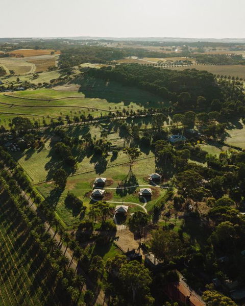 CANVS By CABN Seppeltsfield Barossa - Accommodation Gladstone 1