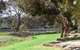 Crimson Ridge - Wines, Vines And Dine - thumb 4