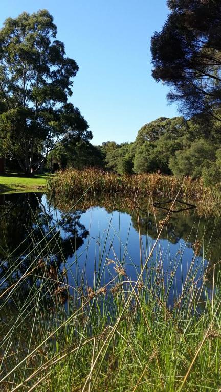 Crystal Springs Holiday Accommodation - Accommodation Gladstone 0