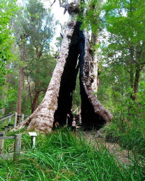 Crystal Springs Holiday Accommodation - Accommodation Gladstone 3